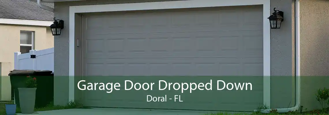 Garage Door Dropped Down Doral - FL