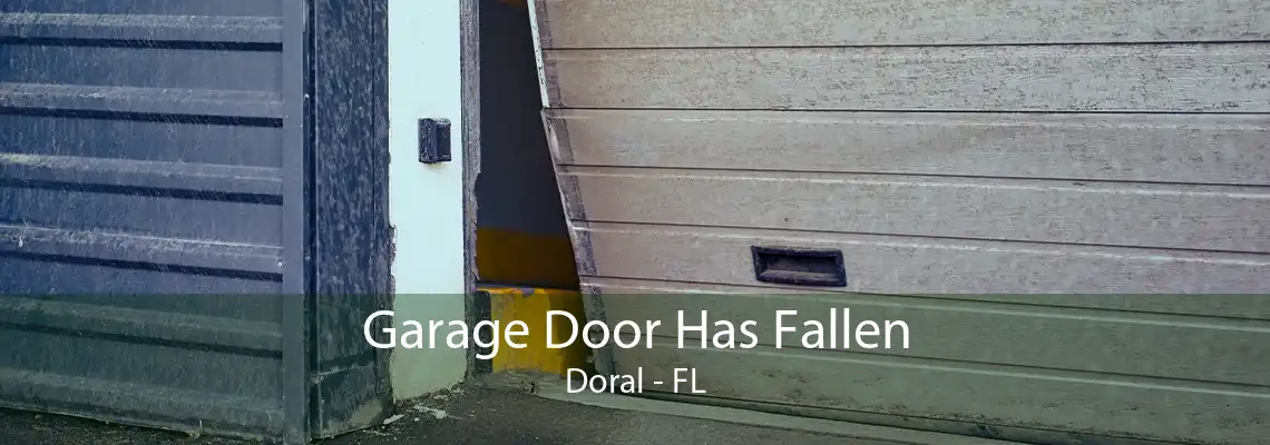 Garage Door Has Fallen Doral - FL