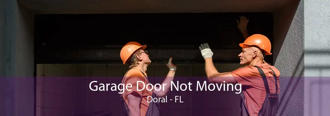 Garage Door Not Moving Doral - FL