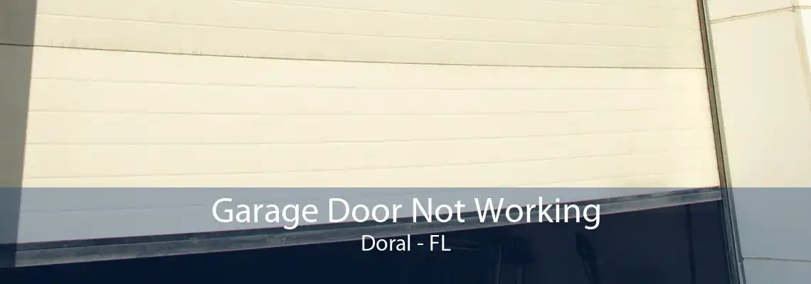 Garage Door Not Working Doral - FL