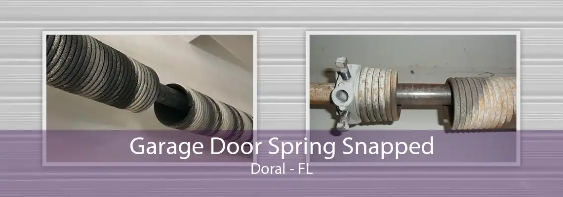 Garage Door Spring Snapped Doral - FL