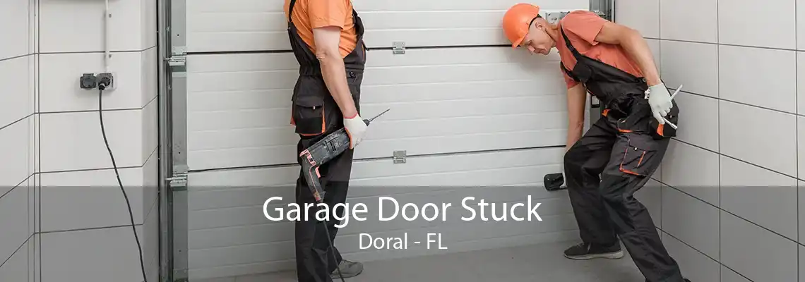 Garage Door Stuck Doral - FL