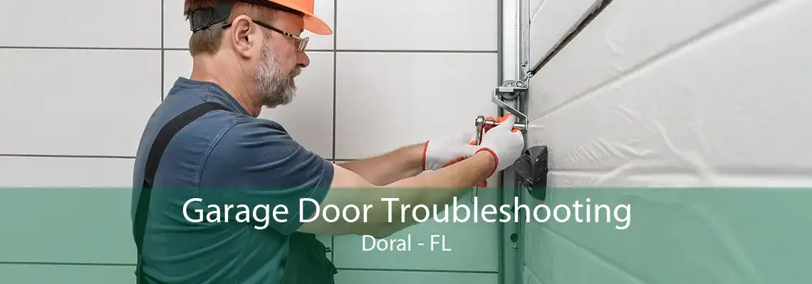 Garage Door Troubleshooting Doral - FL