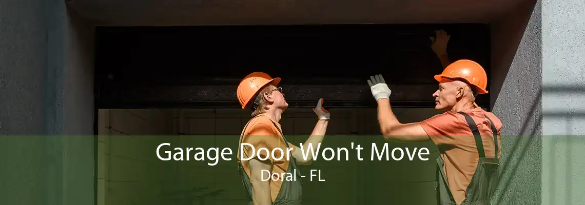 Garage Door Won't Move Doral - FL