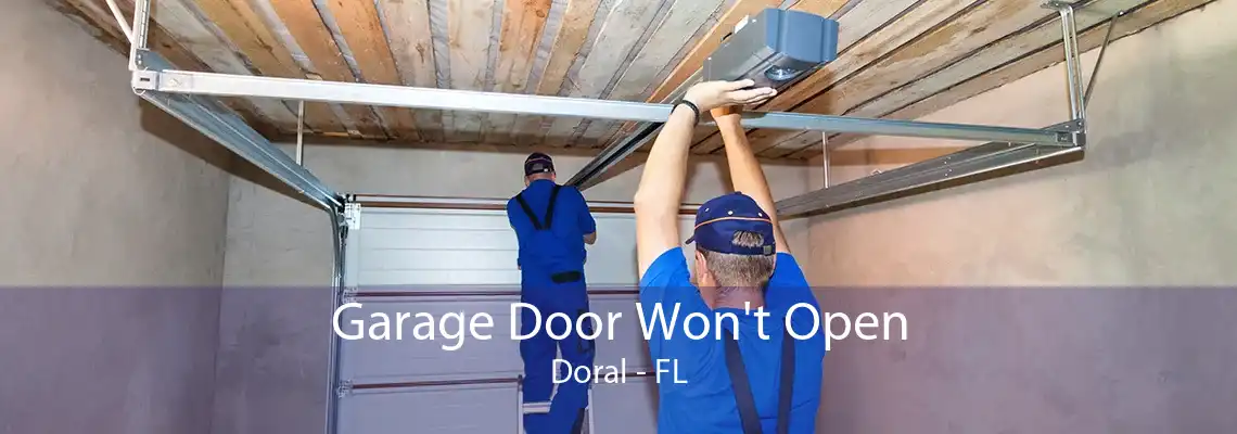 Garage Door Won't Open Doral - FL